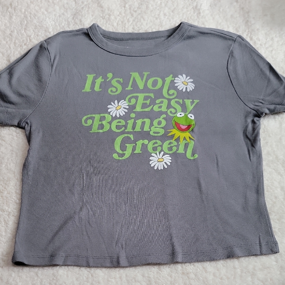 Disney The Muppets M Gray Tee with Kermit Graphic - Picture 1 of 8